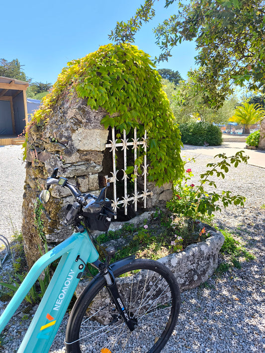 Notre escapade vélo sur la Presqu’île de Rhuys en mode vanlife