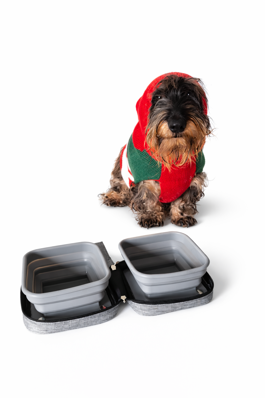 🐾 Gamelle pliable pour chien & chat – Eau et nourriture nomade